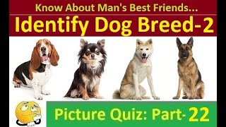 Identify the Dog Breed-2 : Picture Trivia Fun MCQ Quiz with answers (Part-22) screenshot 4