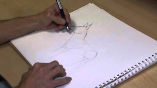 Full How to Draw German Shepherd Dogs News