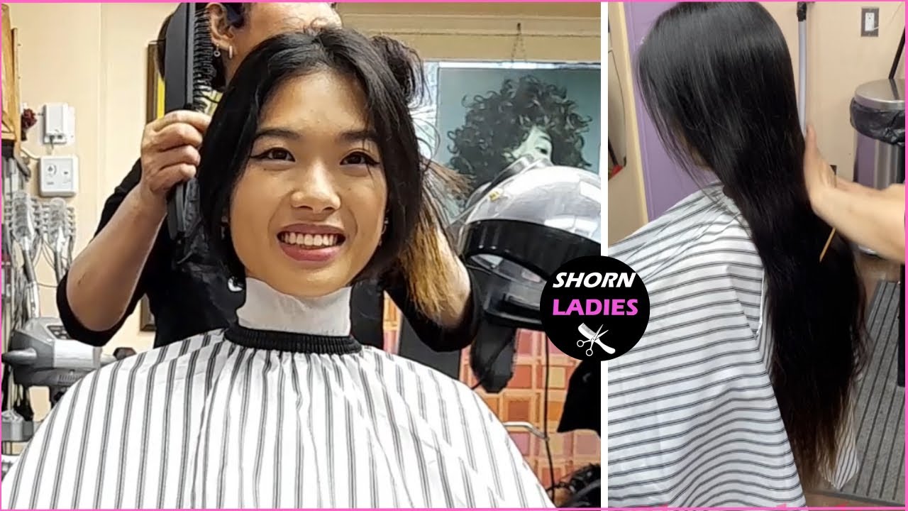 Nemo gets a haircut and style!