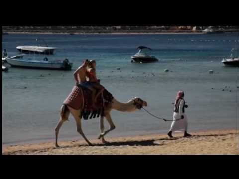 მოგზაურობა გიორგი გაბუნიასთან ერთად (10.03.2017)