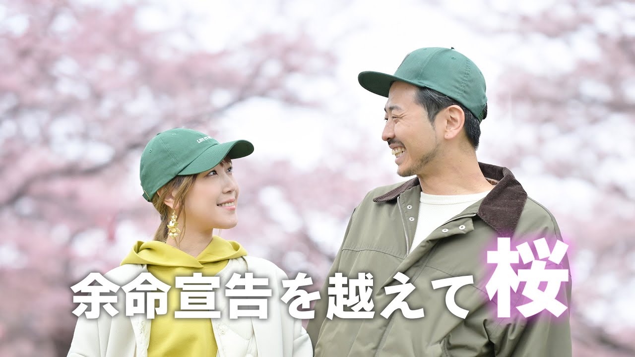 余命宣告を乗り越えて、数年ぶりの桜を見に函館五稜郭へ!【膵臓がんステージ4】