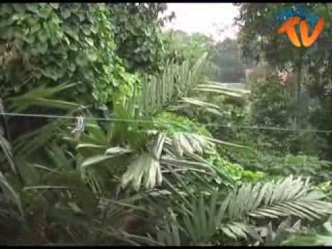 Condet Masa Kini Kehilangan Identitas 