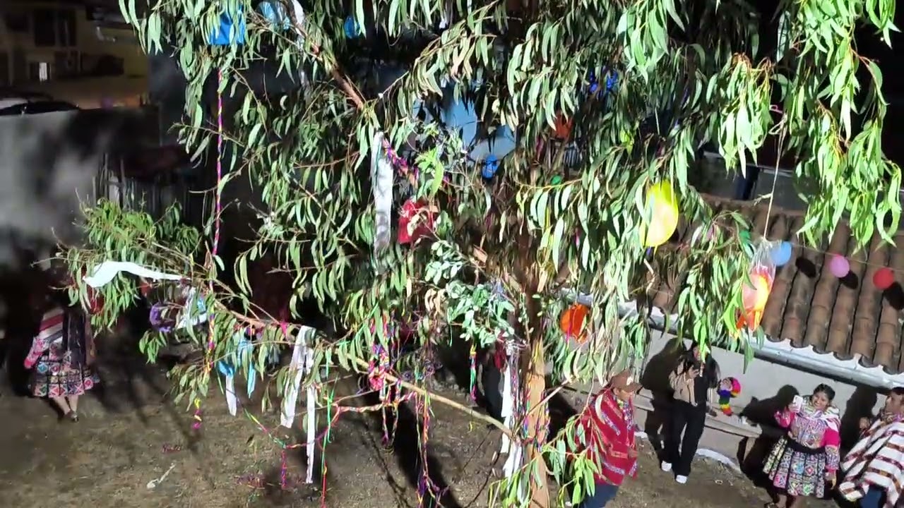 25 de febrero de 2026