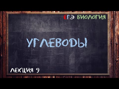 Л.9 | УГЛЕВОДЫ | ОБЩАЯ БИОЛОГИЯ ЕГЭ