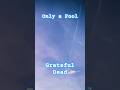 Only a fool Grateful Dead (4/23/1984)