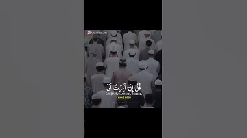 إسلام صبحي 🤍سورة الأنعام