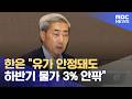 한은 "유가 안정돼도 하반기 물가 3% 안팎" (2026.06.17/5시뉴스와경제/MBC)