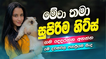 2025 Trending Sinhala Band Nonstop | Viral Songs | Best New Sinhala Songs Collection | Sinhala Songs