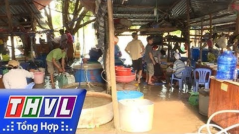 THVL | Nhộn nhịp chợ cá đồng lớn nhất miền Tây