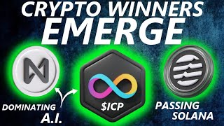 $ICP, Aptos, NEAR are WINNING | BITFARMS 