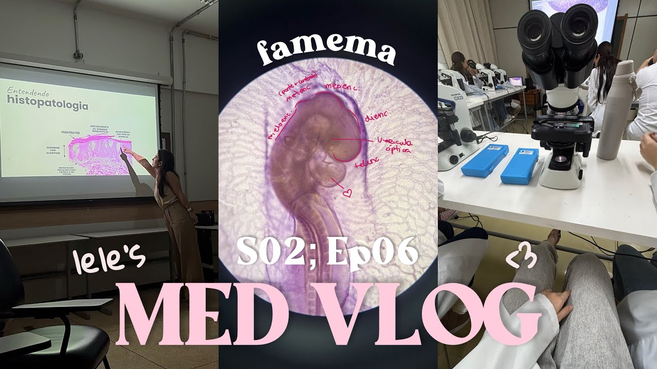 #medvlog S02, Ep06 - reta final do primeiro ano de medicina na famema (exames físicos, embriologia…)