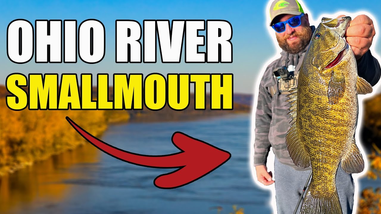 NONSTOP ACTION! Fall Smallmouth Fishing the Ohio River!