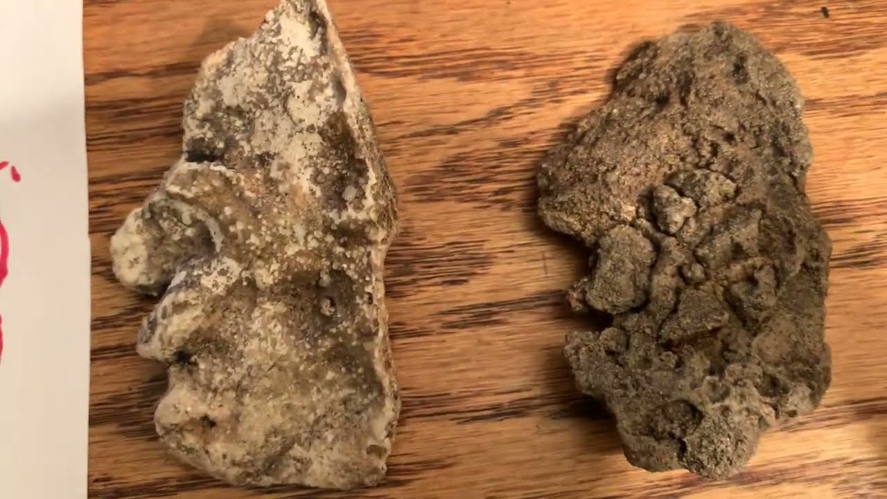 Can my finds be from the Tocabaga Tribe??