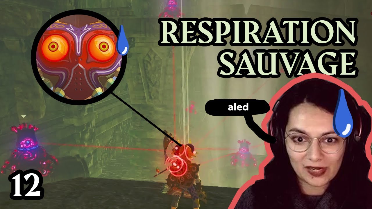 12 je casse un sanctuaire - Zelda Breath of The Wild