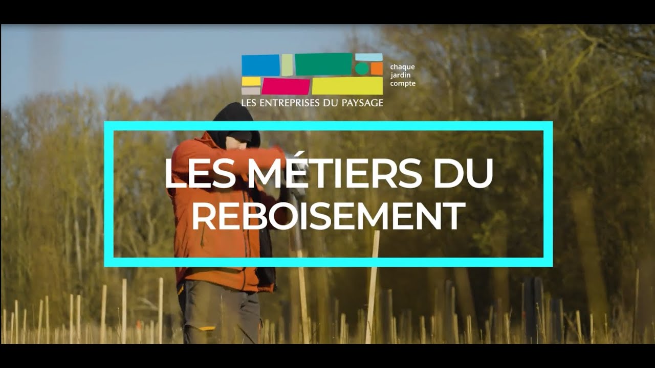 Le reboisement : un métier au service des forêts - YouTube
