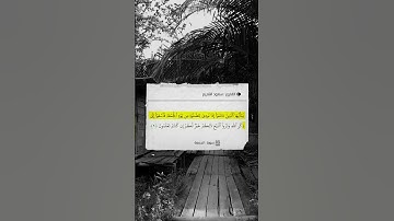القرآن الكريم سورة الجمعة الآية 9      #قرآن #قران #تلاوات #قرآن_كريم #اسلاميات