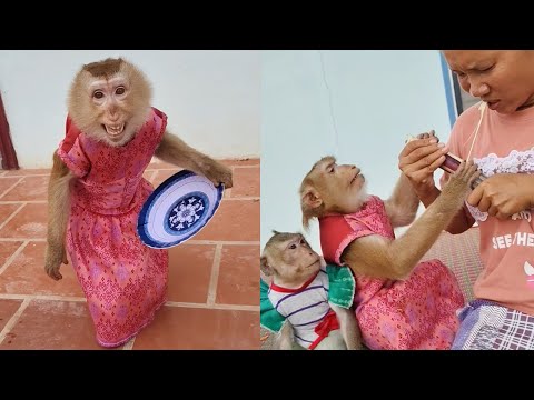 Be Funny Yaya Shally To Alucksy And Family