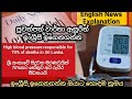 ඉංග්රීසි පුවත්පත් ලිපි සිංහලෙන් Learn English Vocabulary from Newspaper Articles