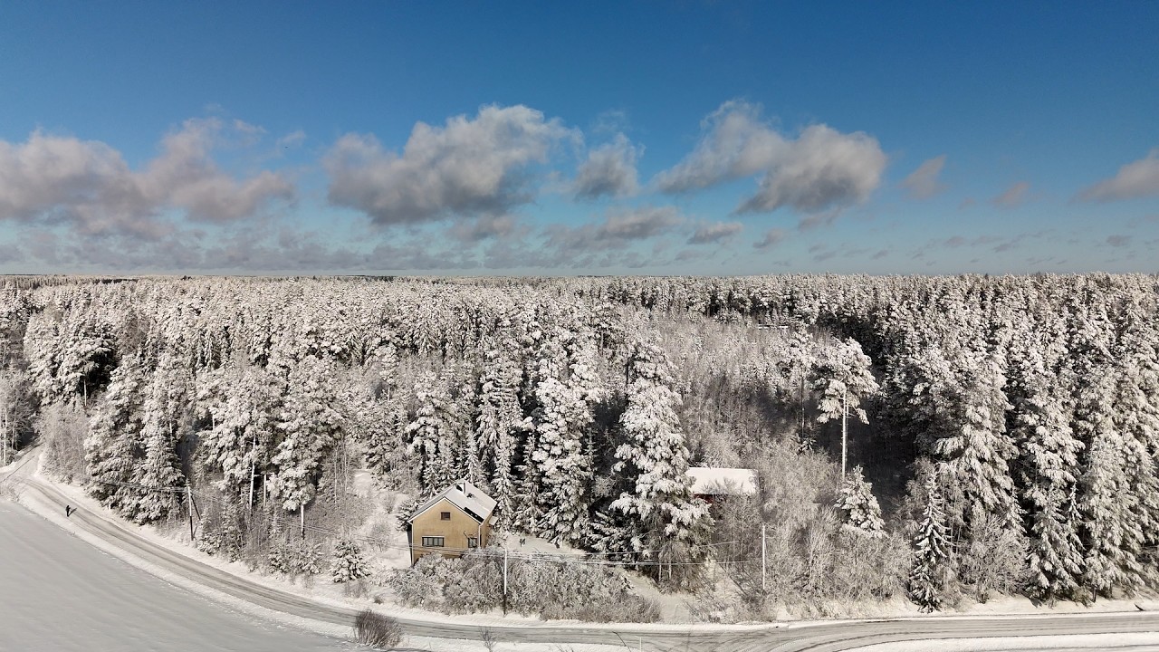 Old Maaria fly 22 02 2026