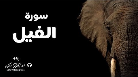 (105) تـلاوة مكررة للحفظ  سورة  " الفيل " يتلوها القارئ | اسلام صبحي