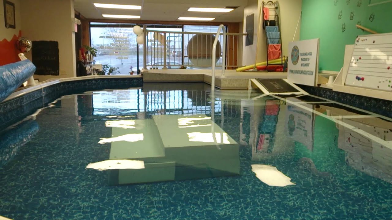 Ramps, life jackets, harnesses and west pool YouTube