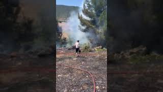Kozan.gr Φωτια Πτελέα Κοζάνης