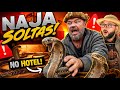 RICHARD SOLTOU COBRAS NAJA NO NOSSO HOTEL