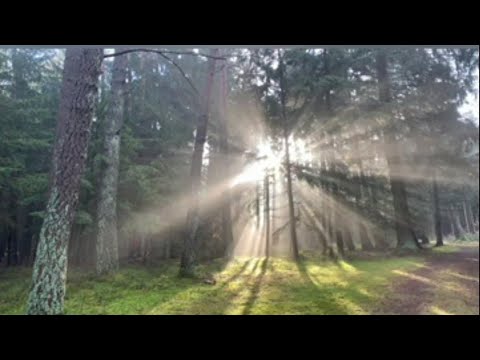 مجمع الاصدقاء لتعاون