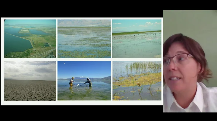 May 2020 - Willard Spur WMA Habitat Management Pla...