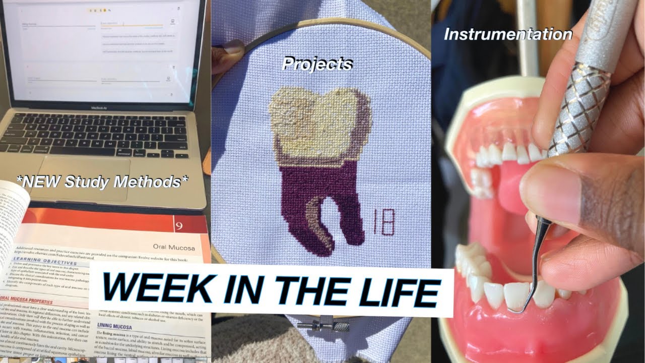 Week in the life of a DENTAL HYGIENE STUDENT NEW Study Methods