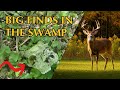 Scouting Big Bucks in the Swamp - Epic Deadhead!!