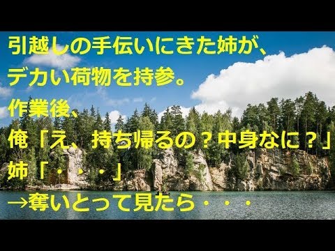 引越しの手伝いにきた姉が、デカい荷物を持参。作業後、俺「え、持ち帰るの？中身なに？」姉「・・・」→奪いとって見たら・・・