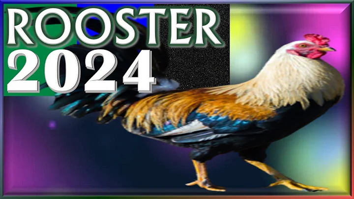 ✪ Rooster Horoscope 2024 |✦| Born 2017, 2005, 1993, 1981, 1969, 1957, 1945, 1933 - DayDayNews