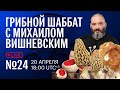 Грибной шаббат №24 вместе с Еленой Александровой. Отвечаем на вопросы