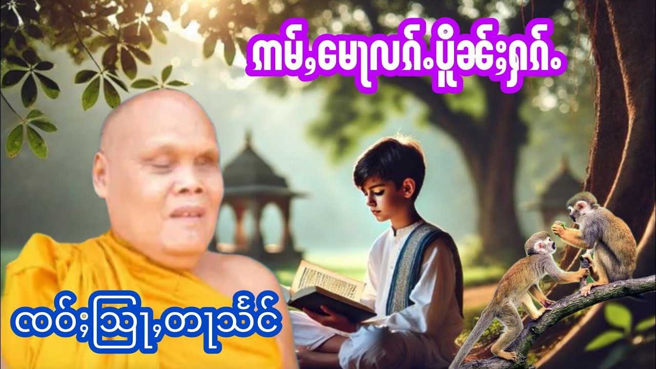 ဢမ်ႇမေႃလၵ်ႉပိူၼ်ႈႁၵ်ႉ ၸဝ်သြႃႇတႃသႅင်