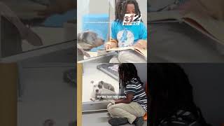 Florida boy becomes first participant to reach 100 hours reading to shelter dogs