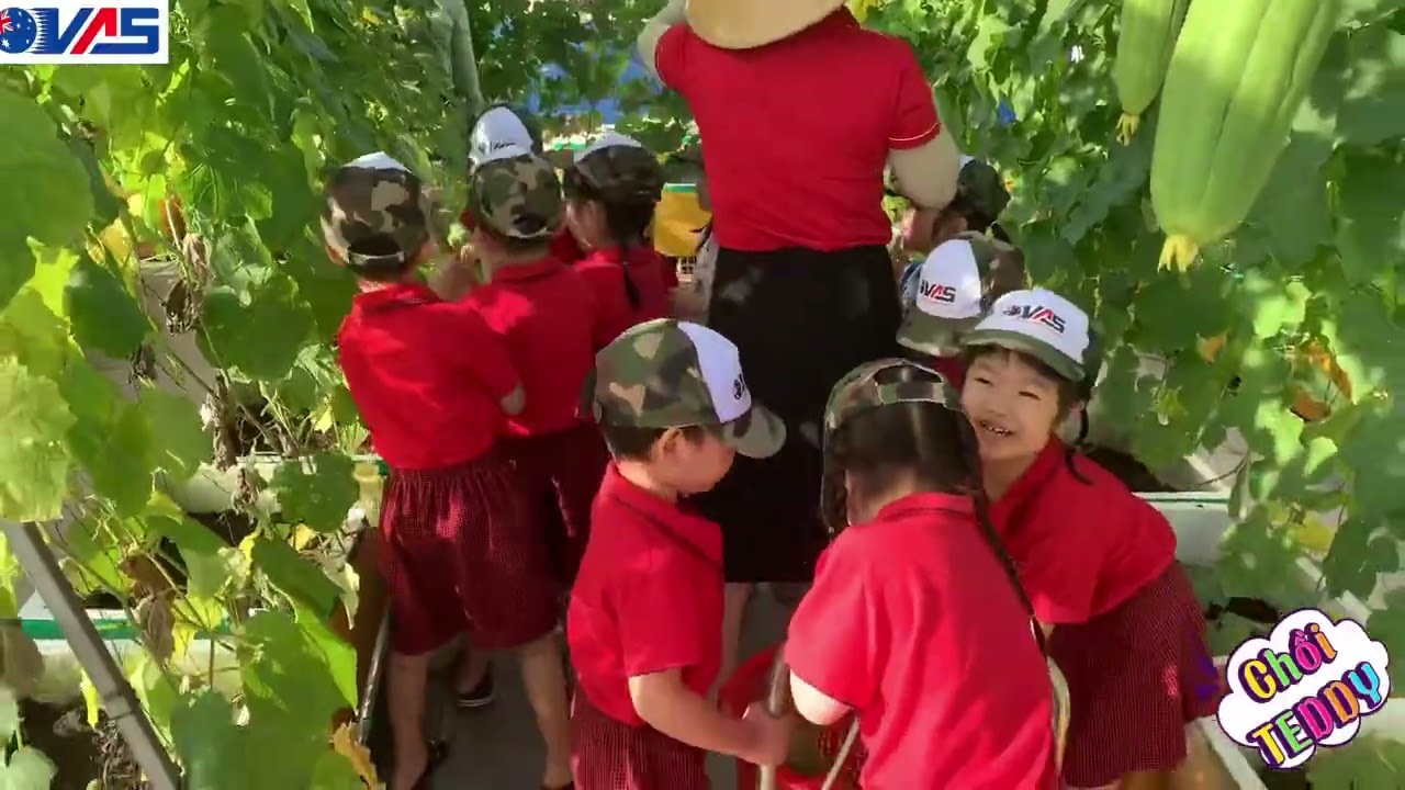 Vườn rau của bé - Xanh mát yêu thương | VAS Cần Thơ