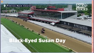 Black-Eyed Susan Day drone footage