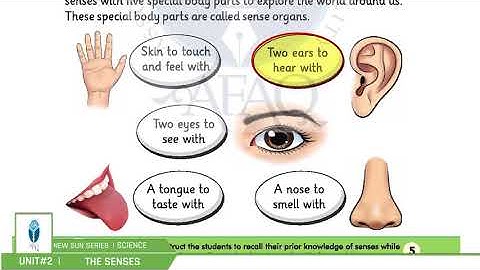 NSS Grade 01 Science Chapter 02 Part 01