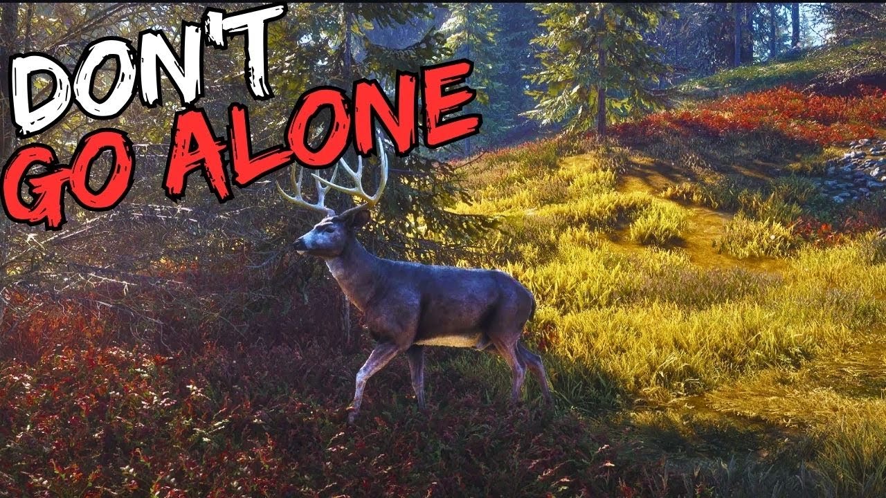 I Became Hunter Today Live Animal hunting in Forest The Hunter Call of the Wild YouTube