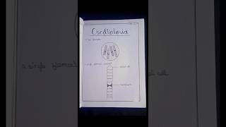 BOTANY PRACTICAL RECORD | Plus two | 2026-2027 | PART : 2