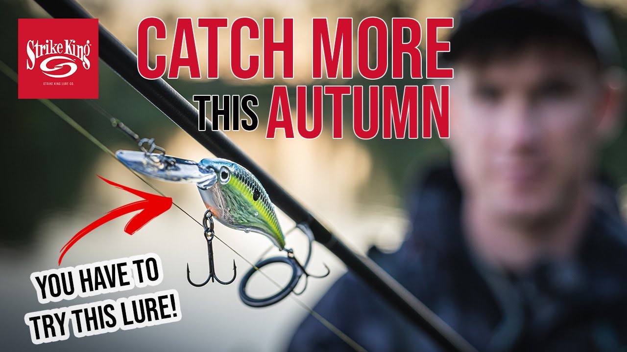 CATCH MORE FISH THIS AUTUMN ON LURES! From Creature Baits to Crank Baits!