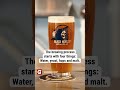 Water Hops Yeast Malt Beer Water Hops Yeast Malt Beer