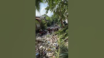 Cùng chung tay bảo vệ môi trường