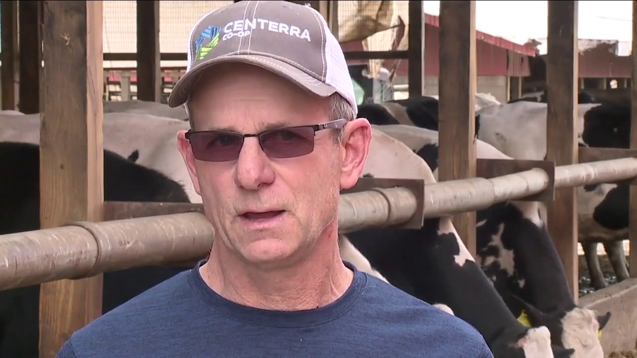 organic milk farmers northeast under pressure organic milk farmers northeast under pressure