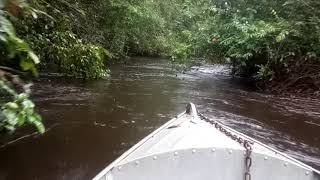 rio corda forte correnteza descendo de barco