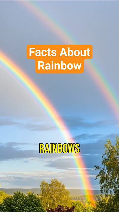 Facts About Rainbow #facts #shorts #Rainbow