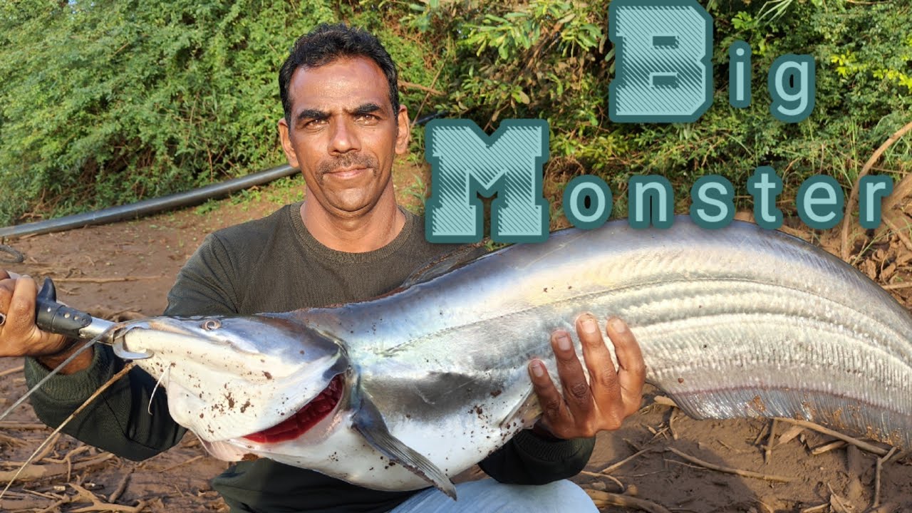 इस जगह मे लगी राक्षस मछली | Big Monster Pathan Fish Catch | Spinner Fishing Tips 