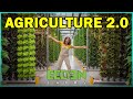 Vertical Hydroponic Farming in The Bahamas | Eeden Farms | Soil-Free & Sustainable Agriculture