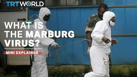 What is the Marburg virus disease?